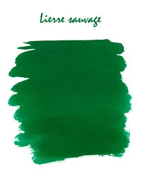 Lierre Sauvage