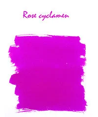 Rose Cyclamen